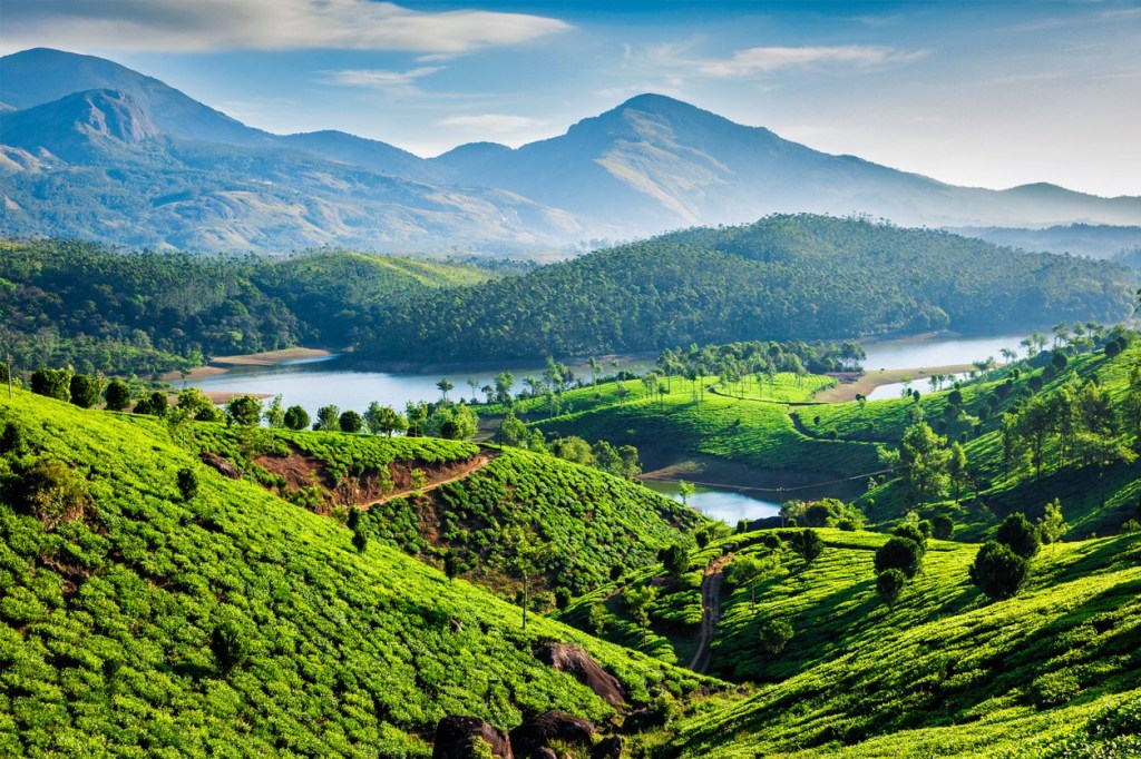 A scenic view of agroforestry with lush green hills in the foreground and the Muthirappuzhayar River surrounded by hills in the background under a clear, blue sky near Munnar, Kerala, India.