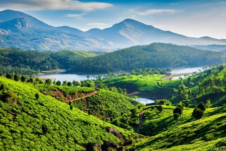 A scenic view of agroforestry with lush green hills in the foreground and the Muthirappuzhayar River surrounded by hills in the background under a clear, blue sky near Munnar, Kerala, India.